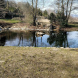 Lake Summer Extérieur
