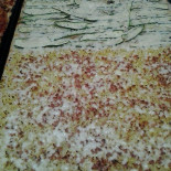 Pazzi Per La Pizza Di Iraci Rosa Cisterna Di Latina food