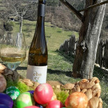 Weingut Ebner Boisson