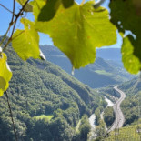 Weingut Ebner Extérieur