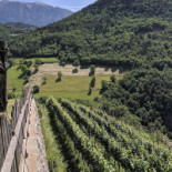 Weingut Ebner Extérieur