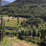 Weingut Ebner Extérieur