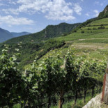 Weingut Ebner Extérieur