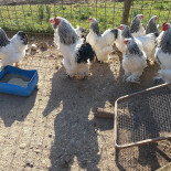 Azienda Agricola Bettina outside