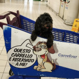 Pizzeggiando Extérieur