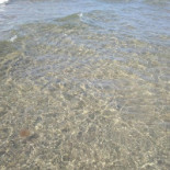 Bagno Paradiso