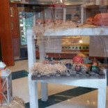 Pasticceria Corti À l'intérieur