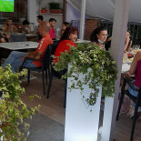 Mint Extérieur