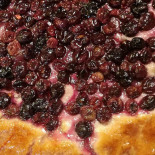 Cipolla Nourriture