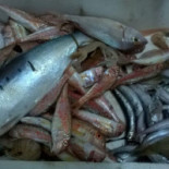 U'pucuozzo Comida