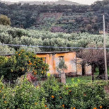 La Piazzetta Wine outside