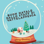 Vattelappescare Logo
