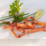 Il Timo Bistrot Boisson