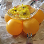 Circolo Serenella Boisson
