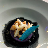Corallo Nero Nourriture