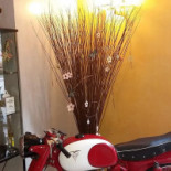Gallo Tignale Boisson