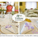 Yellow Park Bebida