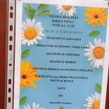 Osteria Della Diga Carte