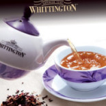 Jackson Caffe' Boisson