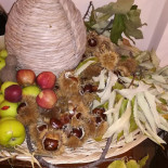La Gorbe E L'ua Comida