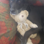 Bar Restaurant Olimpia drink