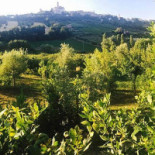 La Vecchia Monta Extérieur