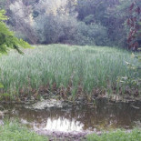 Bar Trattoria Al Parco Di Girola Piera