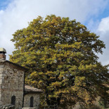 La Grande Quercia