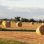 La Rosta Cervignano Del Friuli Exterior