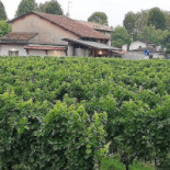 La Rosta Cervignano Del Friuli Exterior