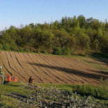 Terra E Profumi Exterior