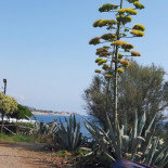 A' Cantinella Extérieur