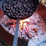 Bice Nourriture