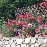 Pension Rosemarie Extérieur