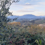 Al Chiosco Forano Extérieur