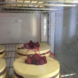 Gelateria Lattezucchero inside