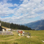Freiberger Mahd Alm Extérieur