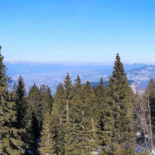 Rifugio Dosso Larici