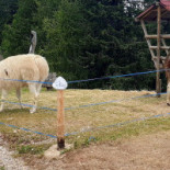 Rifugio Dosso Larici