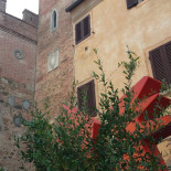 Il Circolo Extérieur