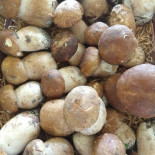 La Quercia Nourriture