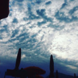 One Fire Beach Boisson