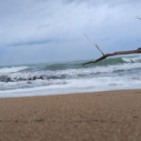 Star Beach Bebida