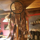 Tapp One À l'intérieur