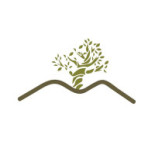 Il Monticello Logo