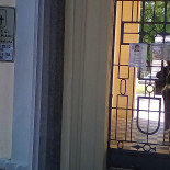 Ti Te Sa