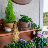 Corte Morea B&b Exterior