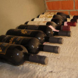 Puntoacapo Boisson