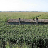 Albergo Cavalli