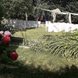 Villa Delfini Exterior